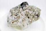 Anatase (Titanium Crystals) On Albite - Pakistan #210744-1